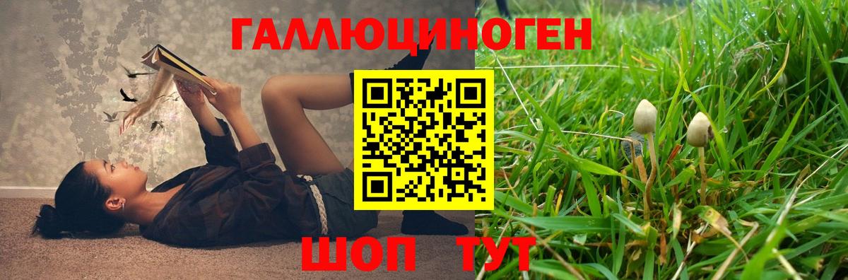 Тамбов  Псилоцибиновые грибы Magic Shrooms  Вход с VPN 