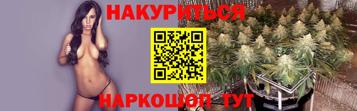 Марихуана Bruce Banner  Конопля VHQ  Тамбов  Вход с VPN 